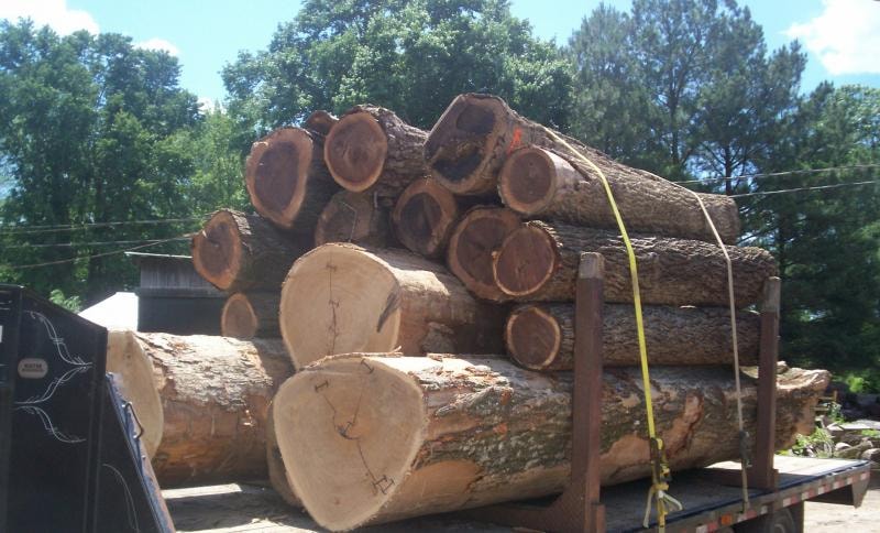 Logs loaded on a truck ready for transport